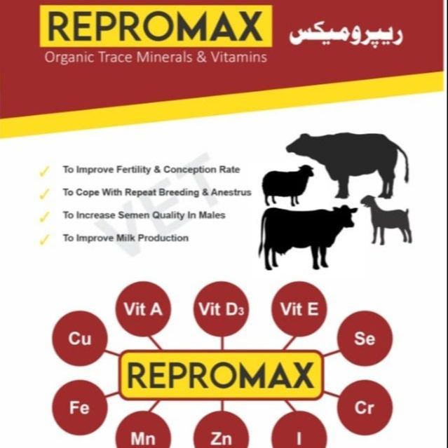 Repromax%20100%20g%20(Organic%20trace%20minerals%20&%20Vitamins%20Mineral%20Mixture%20for%20Cow,%20Buffalo,%20Sheep,%20Goat)%20-%20Image%203