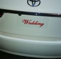 Wedding plates for cars. 