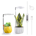Grow Lights for Indoor Plants, Full Spectrum LED Halo Plant Light with Stand Height Adjustable Auto Timer, for Plants. 