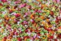 pack of 500gram- pan masala best quality, high demanded, very best pan masala, very tasty product, high recommended. 