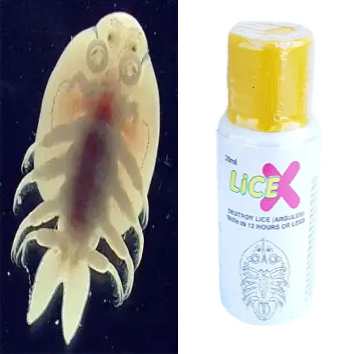Lice%20X%20Aquarium%20Fish%20Anti%20Lice%20Medicine%20-%20Image%202