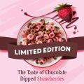 Cereals | Breakfast Cereal, General Mills Cheerios Chocolate Strawberry Flavor Limited Edition, Sweetened Whole Grain Oat Cereal, Made with Real Cocoa and Gluten Free, Pantry Staple for 2 Packs of | 309gram each (309g*2). 