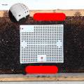 Queen Bee Isolator Introducing Cage Plastic Equipment Reusable Beekeeping Yellow. 
