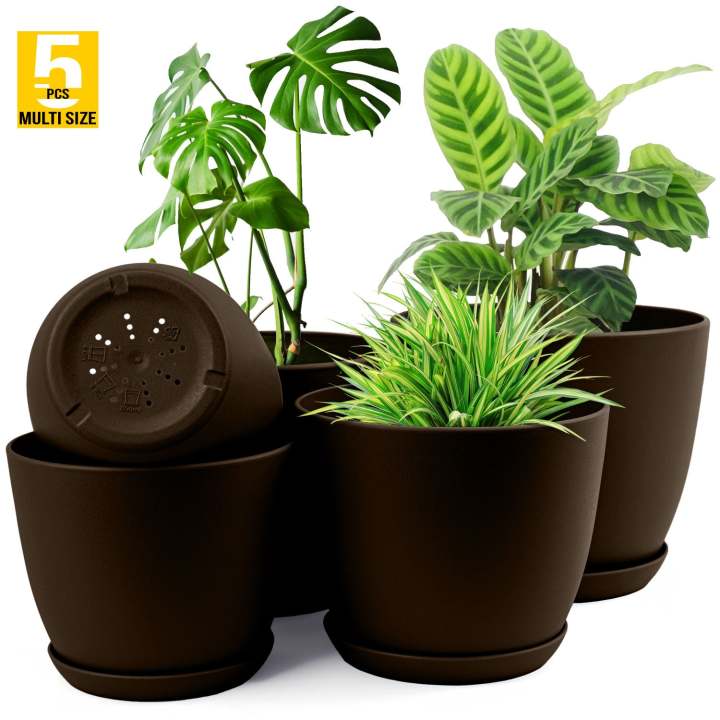 Plant Pots Indoor with Drainage - Pack of 5 Decorative Flower Pots for Indoor Plants