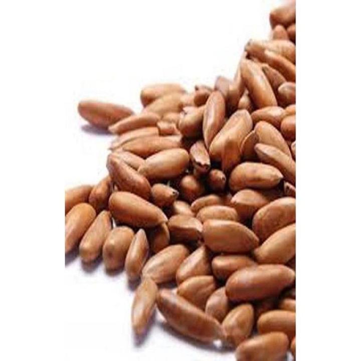 Pine Nuts (chilgoza) - 500 gms