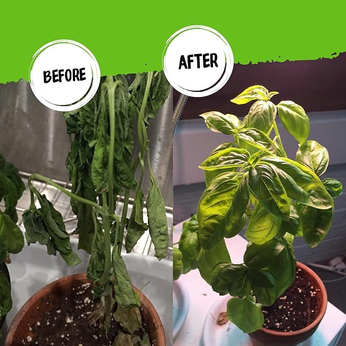 All-in-One%20Gardening%20Kit%20by%20BIGBAGH%20%E2%80%93%20Organic%20&%20Nutrient-Rich%20-%20Image%206