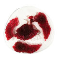 Filigree Peacock Silicone Mold with Feathers Chocolate And Fondant Cake Decorating Mold Silicone DIY Baking Tool Gum Paste and More. 