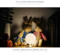 LED Moon Light Lamp Lunar Light Lamp Study Lamp Bedroom Led Bed Lamp Desk Lamp. 