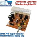 70W Mono Low Pass Woofer Amplifier Board only Bass Output Kit. 