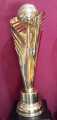 Football Championship Trophies brass metal full size with customized name & logos. 