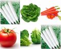 Winter Vegetables Seeds (Pack Of 10) Seeds Vegetables Packet - Excellent Germination - Healthy Vegetable. 