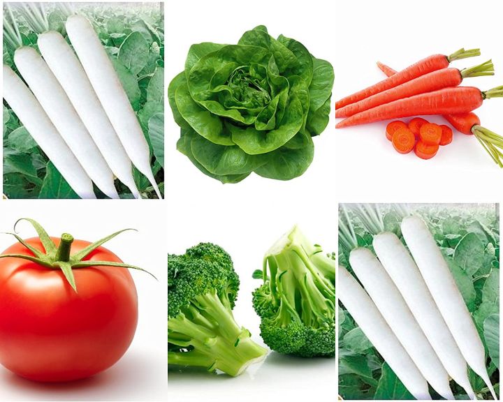 Winter%20Vegetables%20Seeds%20(Pack%20Of%2010)%20Seeds%20Vegetables%20Packet%20-%20Excellent%20Germination%20-%20Healthy%20Vegetable%20-%20Image%204