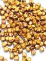 Wooden Plastic Round Cut Beads for DIY Crafts - Pack of 40gms - Ideal for DIY Jewelry Making, Jewelry, and Dress Accessories.. 