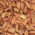 Abdul Wadi Badam Best Quality Mamra Almond 1 KG. 