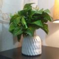 Plastic non breakable vases decoration home Nordic Style Flower Arrangement Living Room Origami flower pot for interior. 