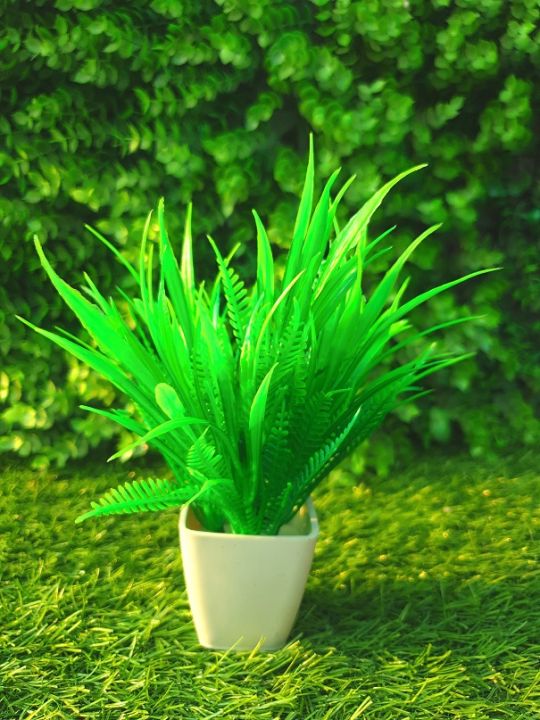 Artificial%20Plants%20Mini%20Potted%20Plant%20Small%20Greenery%20Decor%20for%20Indoor%20Home%20Farmhouse%20Aesthetic%20Bedroom%20Shelf%20Office%20Desk%20Bathroom%20Decoration%20-%20Image%203