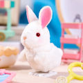 Wind-up Toy Bunny Kangaroo Boys Girls Kindergarten Cartoon Wind-Up Toy. 