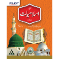 Pilot Super One Islamiat Lazmi/Compulsory Class 9 Keybook Pilot Textbook. 