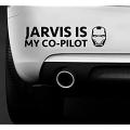 YWS Vinyl Stickers Decals - Jarvis is My Co Pilot Funny Van Marvel Avengers Iron Man Boat - Stickers Laptop Car Truck Window Bumper Decor Notebook SMA4260 Customized. 
