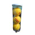 Cricket Soft Tennis Tape Ball Cricket BALL  MAX T21. 
