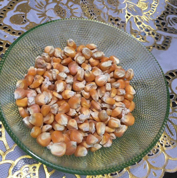 Maize%20,%20Corn%20,%20Makai,%20Sabit%20Makai%20Birds%20feed%20/%20Birds%20food%20for%20budgies%20cocktail%20cockatoo%20Alexandrine%20parakeet,%20RAW,%20Pahari%20Totta%20Larges%20Parrots,%20Suitable%20for%20African%20Grey%20Parrot,%20Macaw,%20lovebirds,%20Australian%20parrots,%20raw,%20ringneck%20and%20similar%20birds%20-%20Image%202