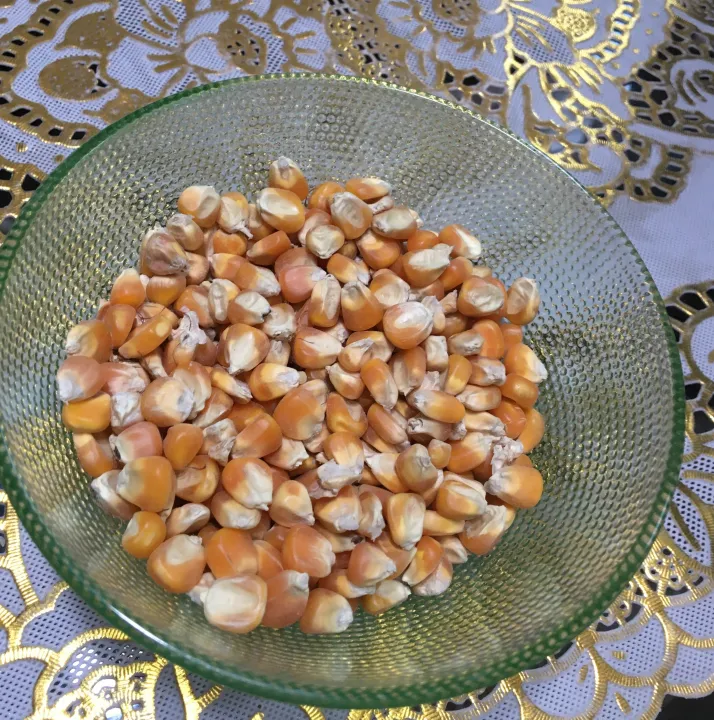 Maize%20,%20Corn%20,%20Makai,%20Sabit%20Makai%20Birds%20feed%20/%20Birds%20food%20for%20budgies%20cocktail%20cockatoo%20Alexandrine%20parakeet,%20RAW,%20Pahari%20Totta%20Larges%20Parrots,%20Suitable%20for%20African%20Grey%20Parrot,%20Macaw,%20lovebirds,%20Australian%20parrots,%20raw,%20ringneck%20and%20similar%20birds%20-%20Image%202