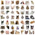 10/30/50PCS Funny Meme Cat Meow Stickers Hilarious Animal Decal for Laptop Motorcycle Luggage Computer Phone Car Guitar Bike. 