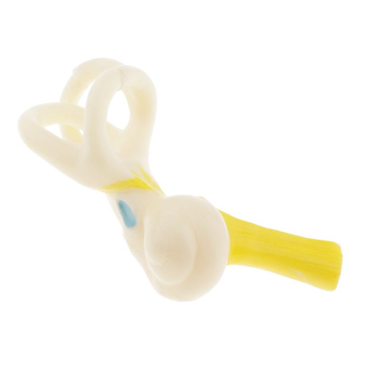 Professional%205x%20Enlarged%20Human%20Ear%20Cochlear%20Model%20Kids%20Science%20Classroom%20Study%20Display%20Teaching%20Tool%20-%20Image%203