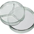 GLASS PETRI DISH. 