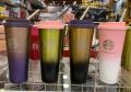 Starbucks Tumblers with Straw and LID | StainLess Steel Mug | Spill Proof | 2 in 1 Colour | Coffee Cup | 500 ML Capacity .. 