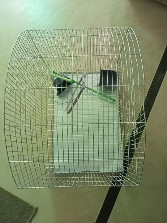 Cage%20for%20ringneck,%20austrailian%20parrots/bajri,%20-%20Image%204