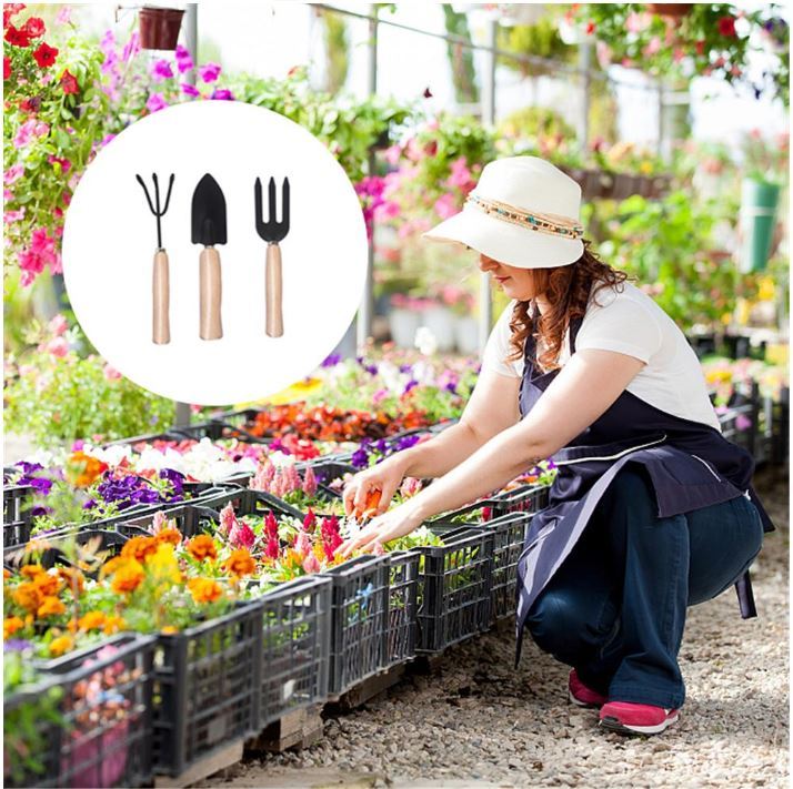 Pack of 3 - Essential Garden Tool - Wood Handles