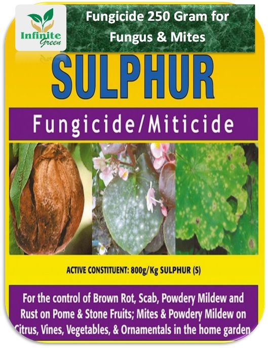 Fungicide%2080%25%20sulphur%20250%20grm%20Plant%20care.%20-%20Image%202