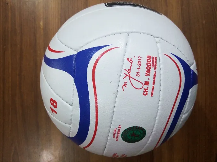 VolleyBall%20Beach%20Ball%20smash%20ball%20volley%20ball%20Training%20Ball%20Standard%20Size%20-%20Image%203