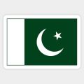 Pack of 50- 14 august independence day Stickers for Girls Sticker For Boys Stickers - Azadi Day Sticker Pakistan Day sticker For Laptop & Mobile Sticker size 3 Inch x 3 Inch or 2 Inch X 2 Inch Each Sticker Size. 