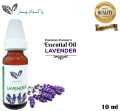 Lavender Aromatherapy Essential Oil (10 ml)  – Pakistan Pansar Lavender Oil 100% Pure & Natural – Undiluted. 