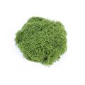 【Exclusive Discount】 1/3 Pack Mini Landcape imulated Gra Artificial Green Plant Eternal Life Mo DIY Craft Gra Garden Home Room Decor 30/50/90/150g. 