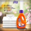 Delite Anti-Bacterial Laundry Detergent Gel. 