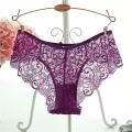 Women Full Lace Panties High-Crotch Transparent. 