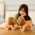 Plush Doll Fully Filled Stuffed Animal Doll Plush Lion Toy. 