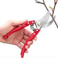 Flowers Cutter-Hand Pruner Plant Branches Cutter Professional Tree Trimmer Pruning Shears, Hand Pruner. 