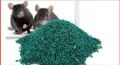 Rat Killer Chocolate Poison For Mouse | Instant Mouse Killer Tablets with Strong Strength. 