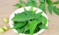 Neem Leaves - 50 Grams. 