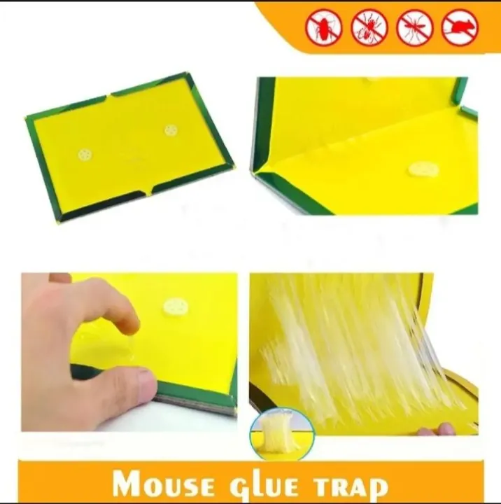 Pack%20of%205%20Mouse%20&%20Rat%20Bond%20Traps%20for%20efficient%20rodent%20control%20%7C%20Powerful%20glue%20ensures%20strong%20hold%20for%20trapping%20mice%20and%20rats%20%7C%20Disposable%20and%20mess-free%20solution%20for%20rodent%20problems%20-%20Image%202