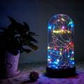 PACKIFY Chilli Milli 9.8ft 30LEDs Mini Fairy Lights Battery Operated - String Night Light for Room Decoration. 