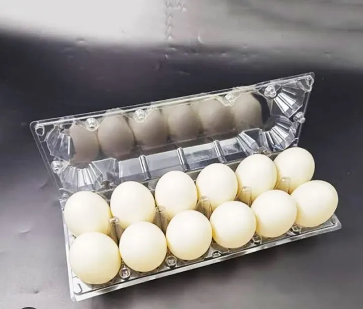 12%20Pack%20Egg%20Crates,%20Clear%20Plastic%20Eco-Friendly%2012-Cell%20Egg%20Carton%20Bulk,%20Holds%20Up%20to%2012%20Eggs%20Safely,%20Perfect%20for%20Family%20Pasture%20Farm%20Market%20Display%20-%20Image%203