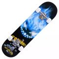 Premium Quality Skate Board small medium 17 inch. 