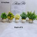 Pack of 3, 5 Artificial Small Plants - 6 Inches High Quality Table Top Decor in White Pots. 