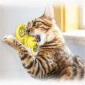 Funny Cat Toy Spinning Windmill with LED Ball ＆Catnip Scratch Hair Brush Intelligence Training Suction Cup Cats Spinner Toy. 