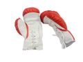 Boxing Gloves For Kids With Different Cartoon Printing For 5 to 12 Years ( 1 PAIR MULTICOLOUR). 